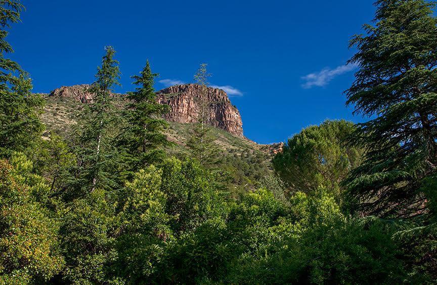 Briar Patch Inn Sedona Luaran gambar