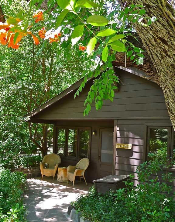 Briar Patch Inn Sedona Luaran gambar